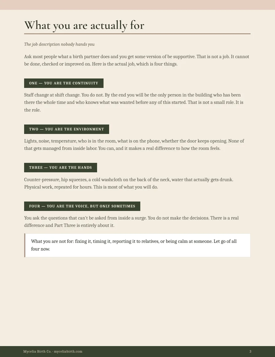 Page titled What you are actually for, describing the four parts of a support person's job